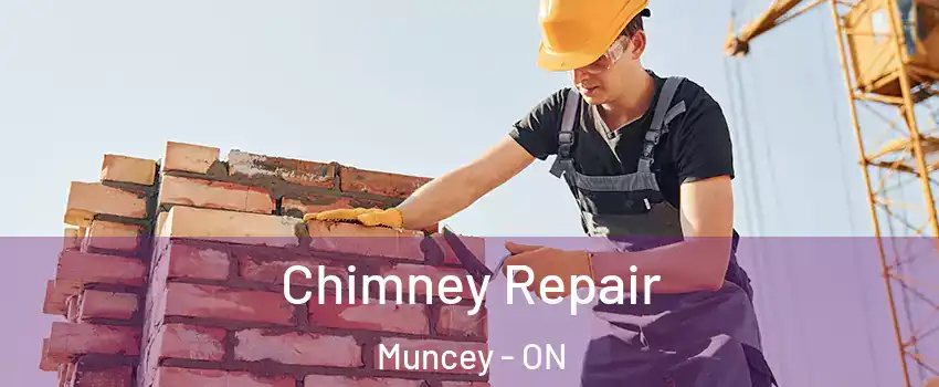  Chimney Repair Muncey - ON
