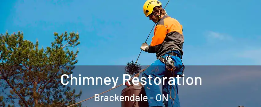  Chimney Restoration Brackendale - ON