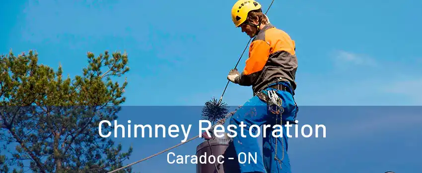  Chimney Restoration Caradoc - ON