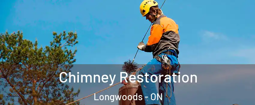 Chimney Restoration Longwoods - ON