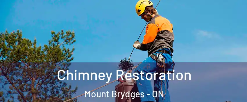  Chimney Restoration Mount Brydges - ON