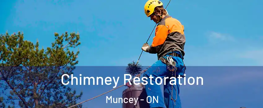  Chimney Restoration Muncey - ON