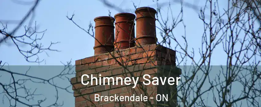  Chimney Saver Brackendale - ON