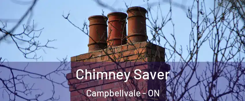  Chimney Saver Campbellvale - ON