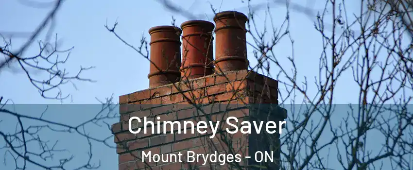  Chimney Saver Mount Brydges - ON