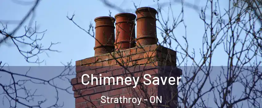  Chimney Saver Strathroy - ON