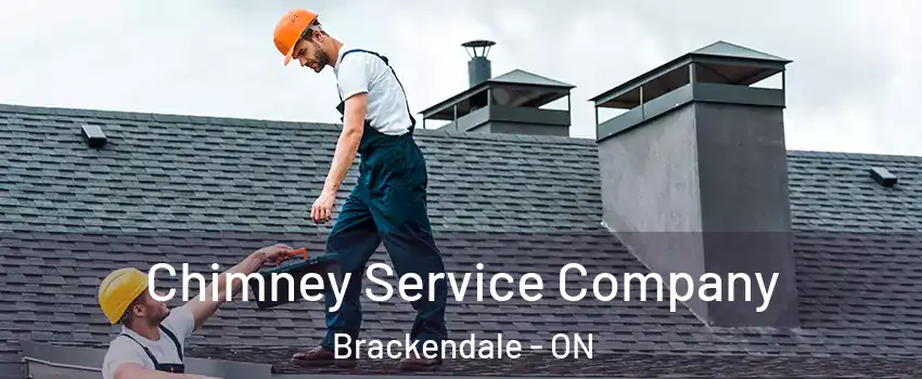  Chimney Service Company Brackendale - ON