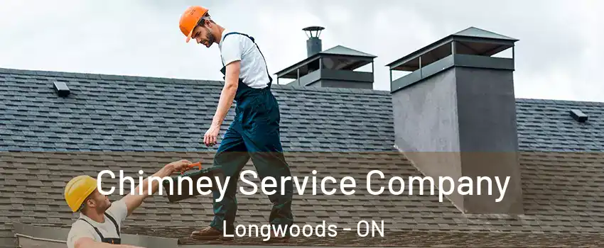  Chimney Service Company Longwoods - ON