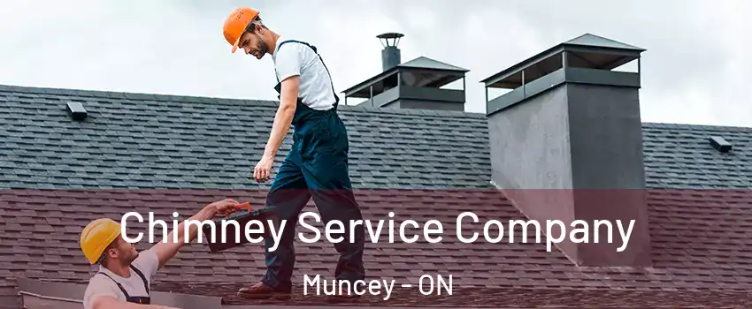  Chimney Service Company Muncey - ON