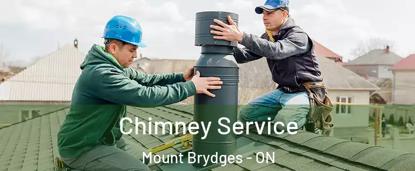  Chimney Service Mount Brydges - ON