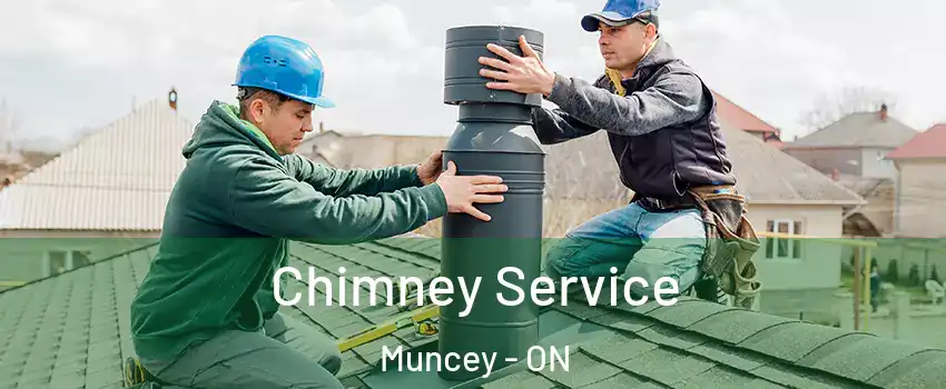  Chimney Service Muncey - ON