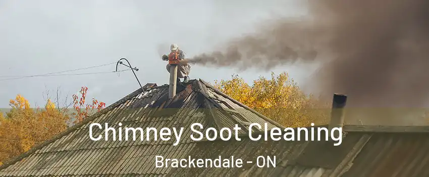  Chimney Soot Cleaning Brackendale - ON