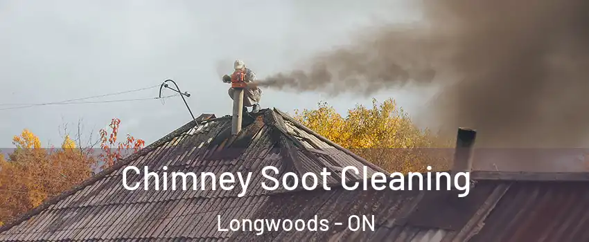  Chimney Soot Cleaning Longwoods - ON