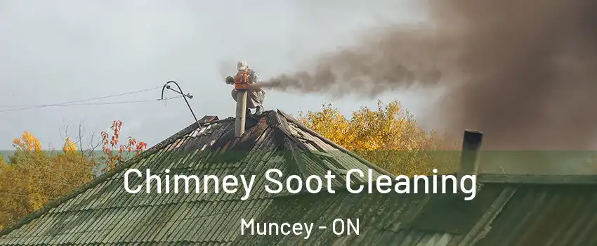  Chimney Soot Cleaning Muncey - ON