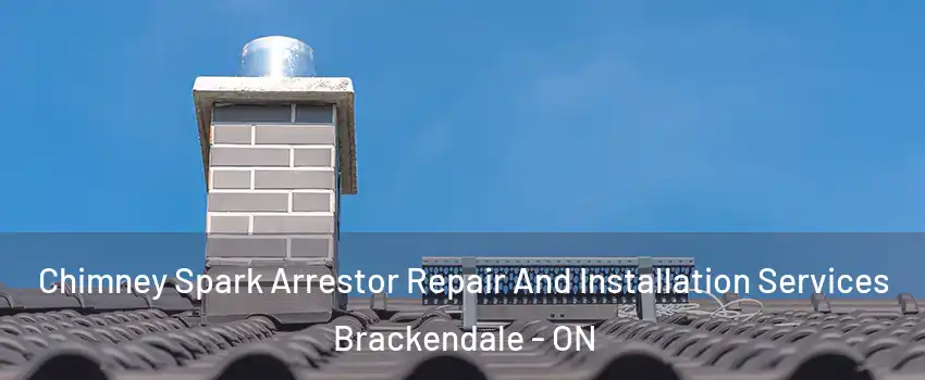  Chimney Spark Arrestor Repair And Installation Services Brackendale - ON
