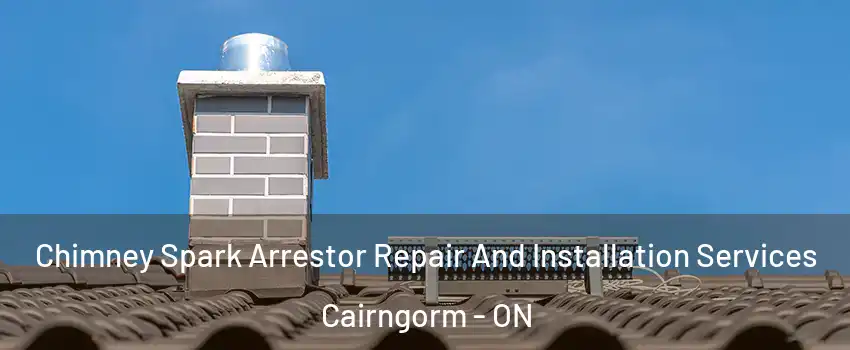  Chimney Spark Arrestor Repair And Installation Services Cairngorm - ON