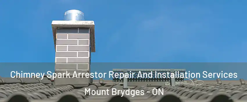 Chimney Spark Arrestor Repair And Installation Services Mount Brydges - ON