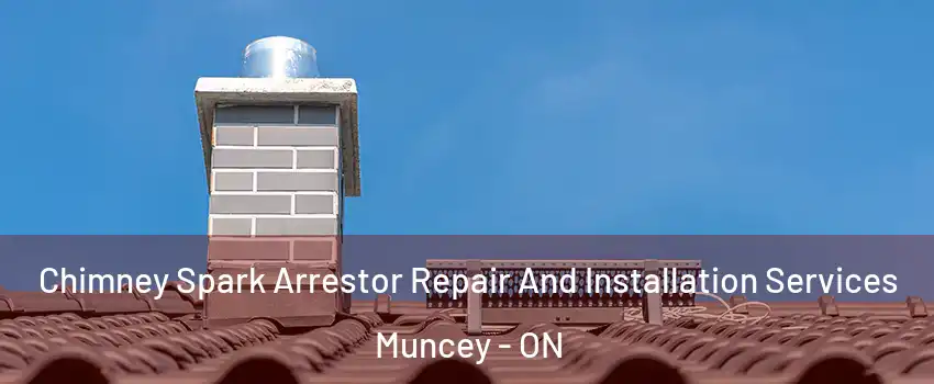  Chimney Spark Arrestor Repair And Installation Services Muncey - ON