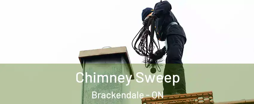 Chimney Sweep Brackendale - ON