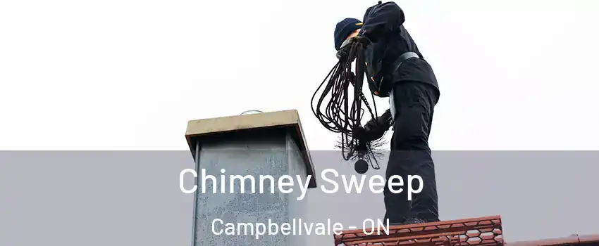  Chimney Sweep Campbellvale - ON