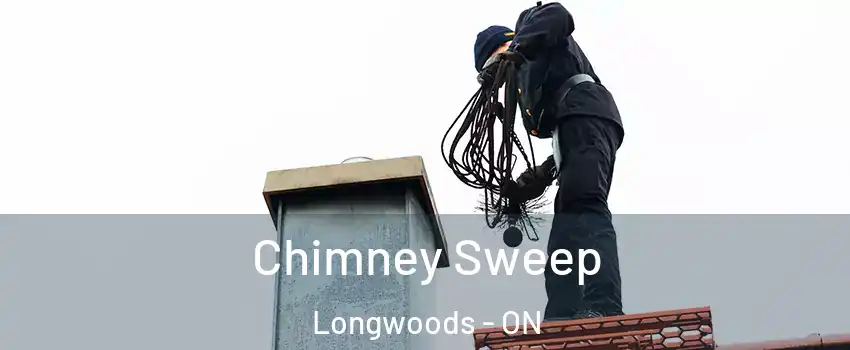  Chimney Sweep Longwoods - ON