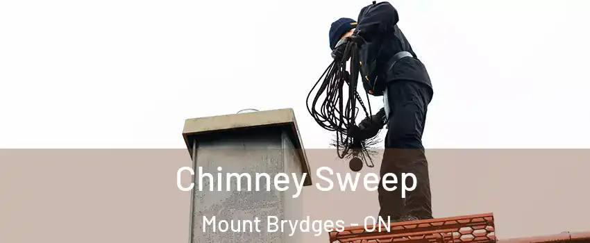  Chimney Sweep Mount Brydges - ON