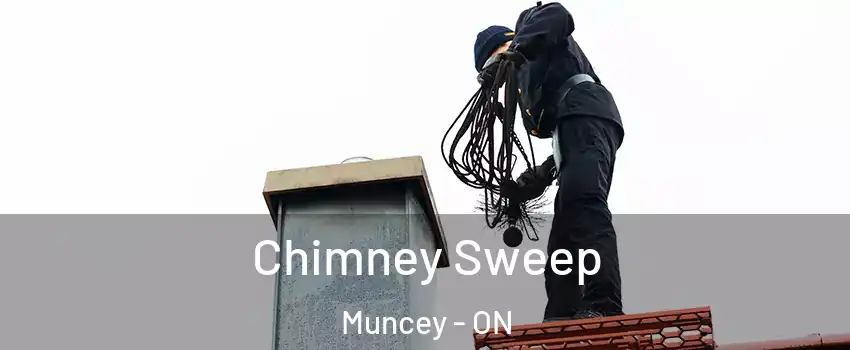  Chimney Sweep Muncey - ON