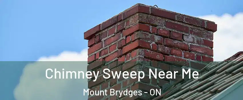  Chimney Sweep Near Me Mount Brydges - ON