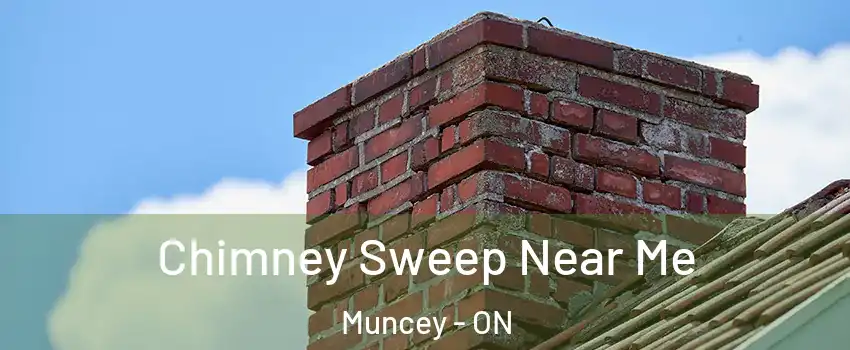  Chimney Sweep Near Me Muncey - ON