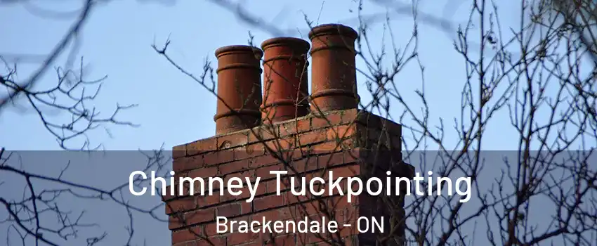  Chimney Tuckpointing Brackendale - ON
