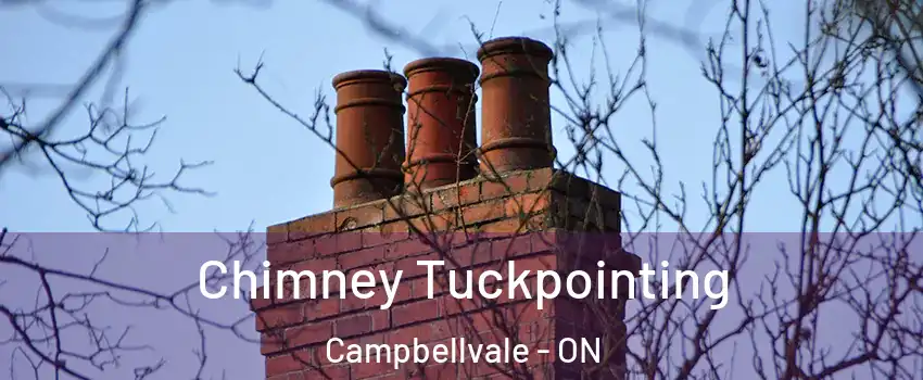  Chimney Tuckpointing Campbellvale - ON