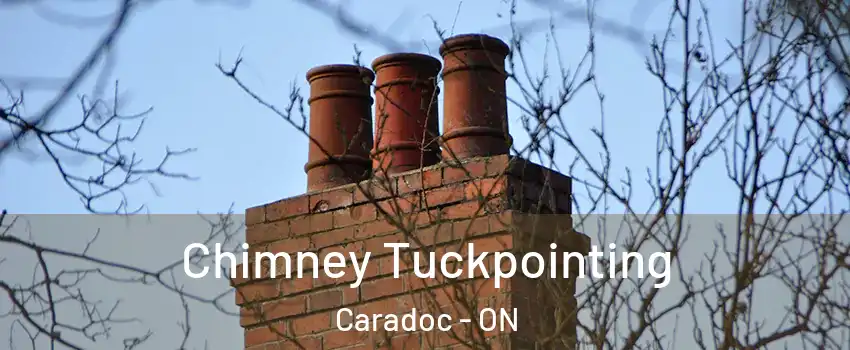  Chimney Tuckpointing Caradoc - ON