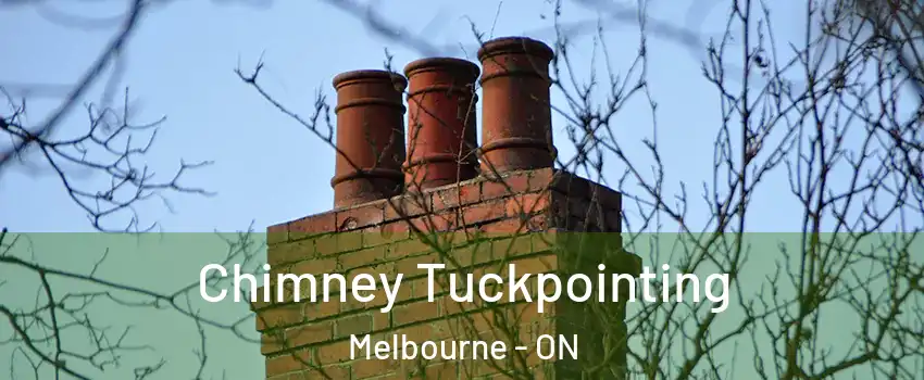  Chimney Tuckpointing Melbourne - ON