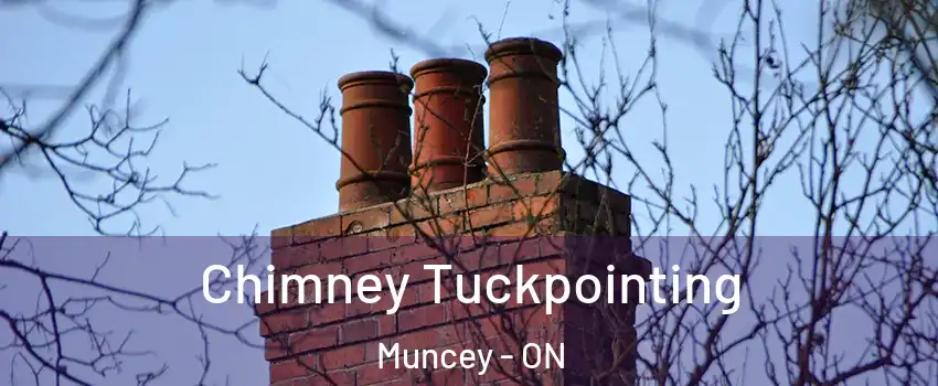  Chimney Tuckpointing Muncey - ON