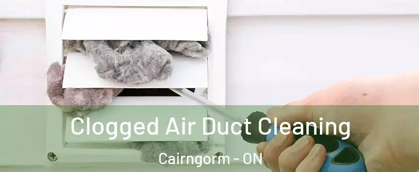  Clogged Air Duct Cleaning Cairngorm - ON