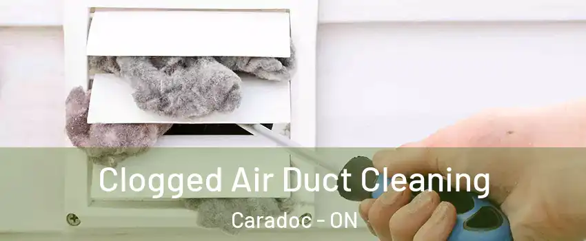  Clogged Air Duct Cleaning Caradoc - ON
