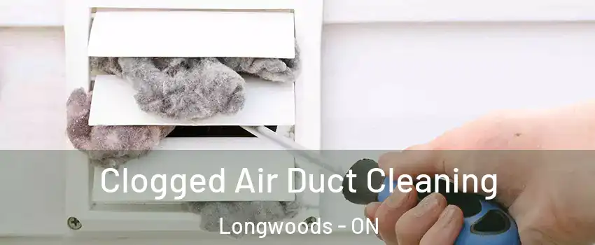  Clogged Air Duct Cleaning Longwoods - ON