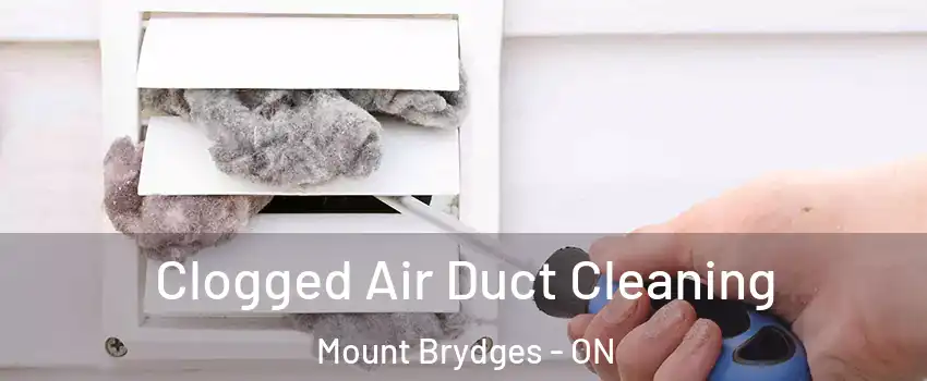 Clogged Air Duct Cleaning Mount Brydges - ON
