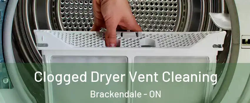  Clogged Dryer Vent Cleaning Brackendale - ON
