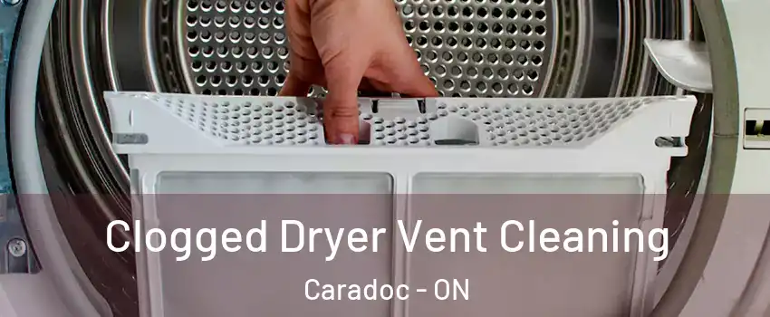  Clogged Dryer Vent Cleaning Caradoc - ON