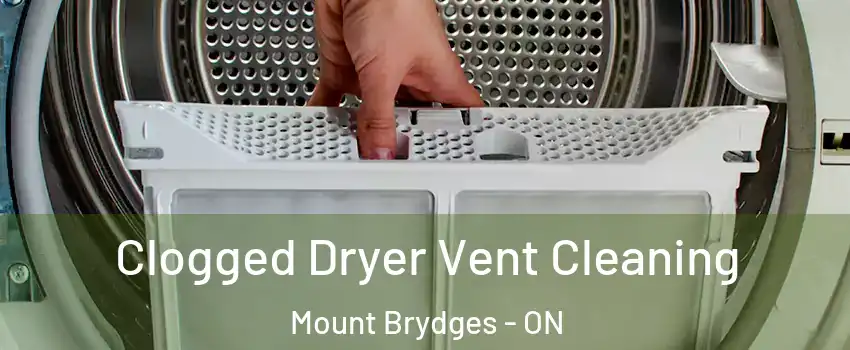  Clogged Dryer Vent Cleaning Mount Brydges - ON