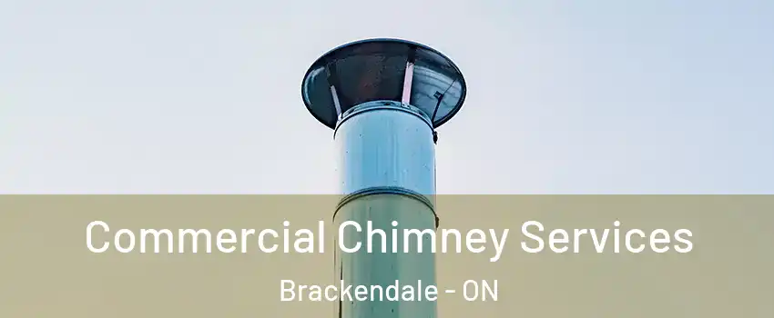  Commercial Chimney Services Brackendale - ON