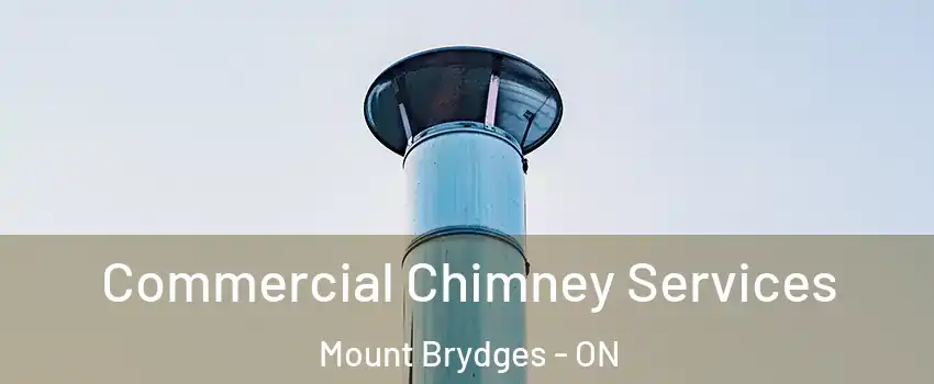 Commercial Chimney Services Mount Brydges - ON