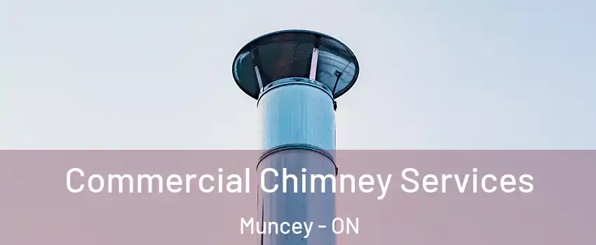  Commercial Chimney Services Muncey - ON