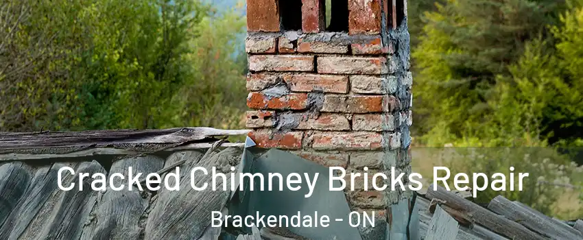  Cracked Chimney Bricks Repair Brackendale - ON