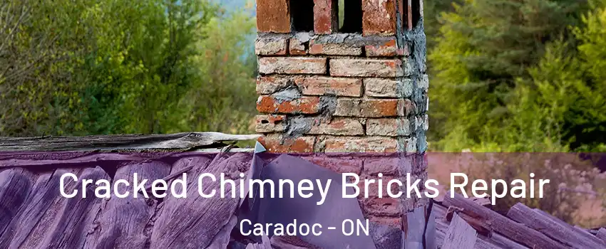  Cracked Chimney Bricks Repair Caradoc - ON