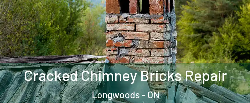  Cracked Chimney Bricks Repair Longwoods - ON