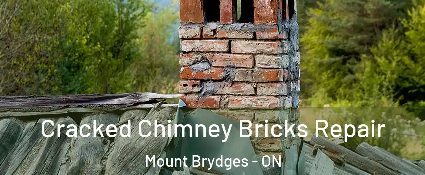  Cracked Chimney Bricks Repair Mount Brydges - ON