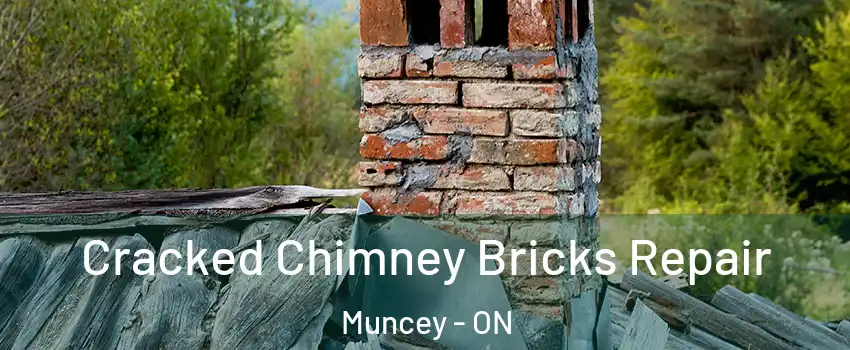  Cracked Chimney Bricks Repair Muncey - ON