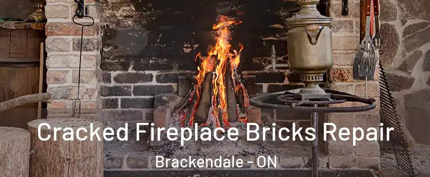  Cracked Fireplace Bricks Repair Brackendale - ON